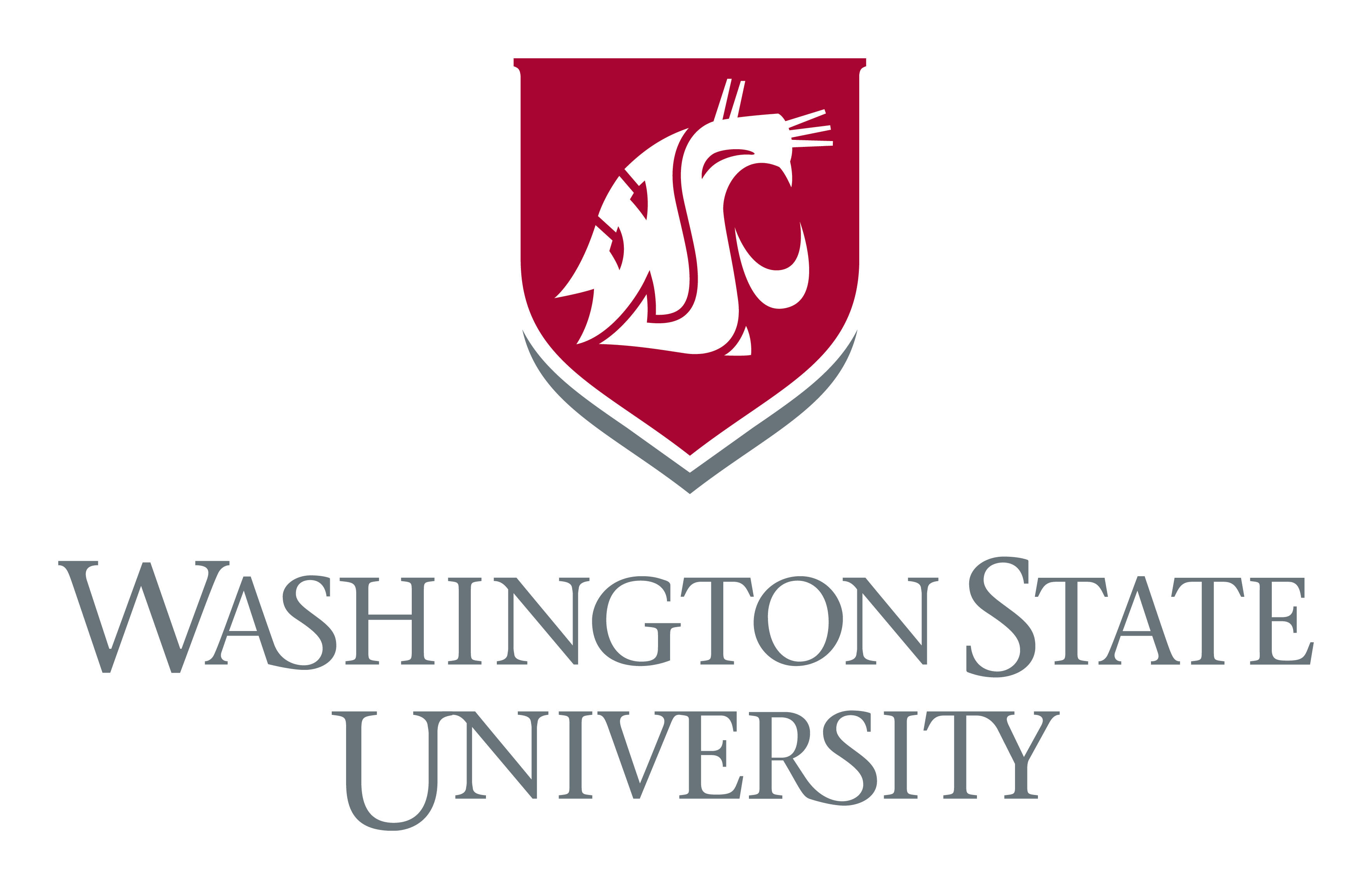 Washington State University Washington State University
